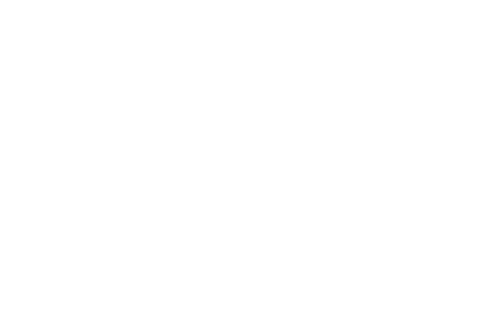 Astroshine logo